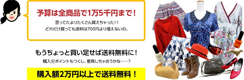 少ない予算でたっぷりGET!