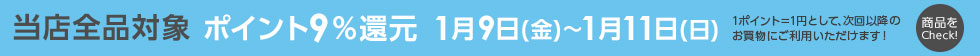 ベクトルパーク ポイント9%還元