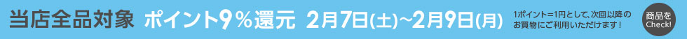 ベクトルパーク ポイント9%還元